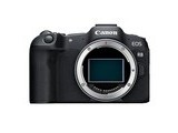  Canon EOS R8 (24mm f/1.8)