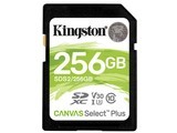  Kingston SDS2/256GB