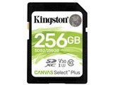 ��ʿ��SDS2/256GB