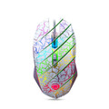  Tiger cat macro definition programming game mouse white ordinary version