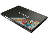 Hybrid VAIO