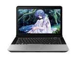 R311G-T3300G10250RgLQCJ