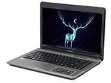  A480N-i3 D2