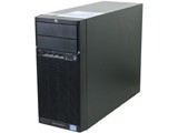HP ProLiant ML110 G7(QU506A)