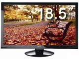 SHARP/NEC VE1901G