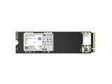 洢PC41Q 1TB