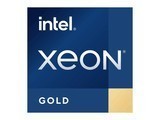 Intel Xeon Gold 6542Y