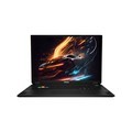 ΢ǾӰ18 AI 2025 (Ultra9-275HX/64GB/2TB/RTX5080/4K)