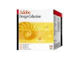 Adobe E Design Collection(Ӣİ)