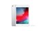 ƻ ¿iPad mini 2019256GB/WLAN棩