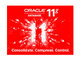 Oracle 11g 标准版